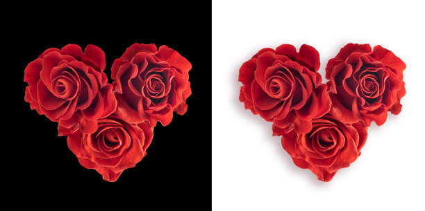 红玫瑰花束心形，孤立在白色和黑色上图片下载