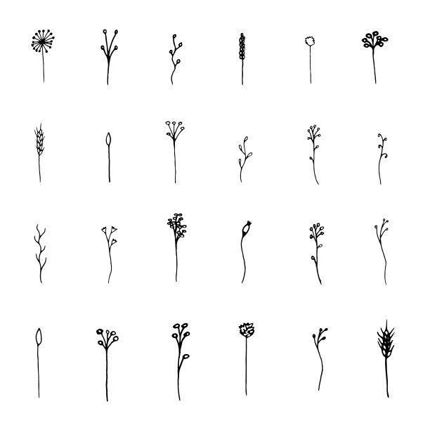 孤立植物向量集图片下载