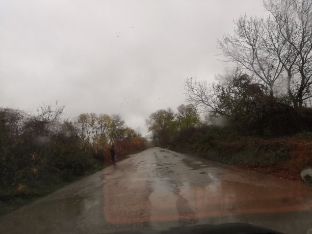 秋天的道路图片下载