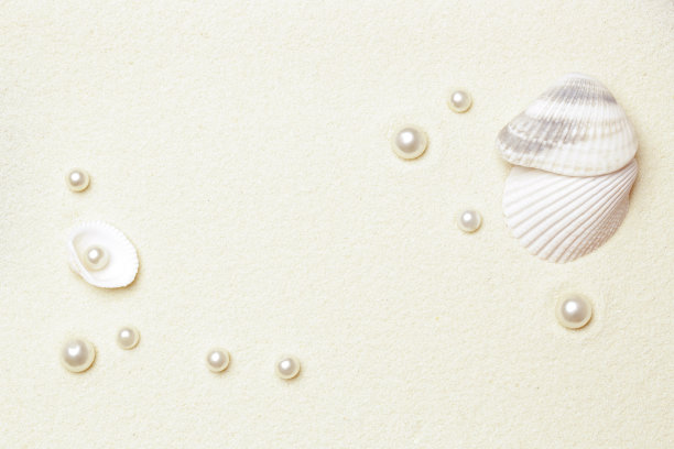 白色的沙滩，贝壳和珍珠图片下载