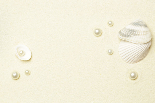 白色的沙滩，贝壳和珍珠图片下载