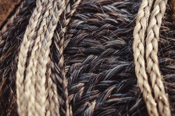 许多小的辫子图片下载