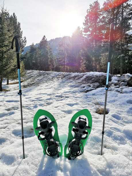 雪在山上啪啪作响图片下载