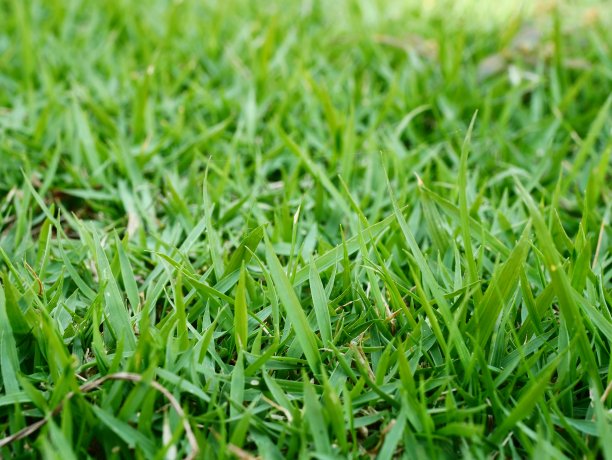 足球场图片下载