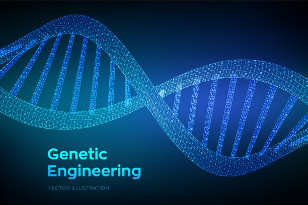 DNA序列。概念二进制编码人类基因组。线框数字DNA分子结构网。人工智能DNA编码可编辑模板。科学技术概念。矢量插图。图片下载
