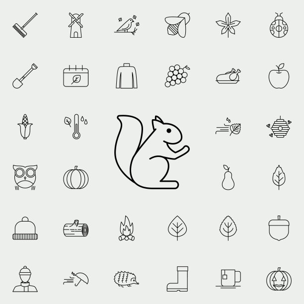 松鼠图标。秋季图标通用设置为网络和移动图片下载