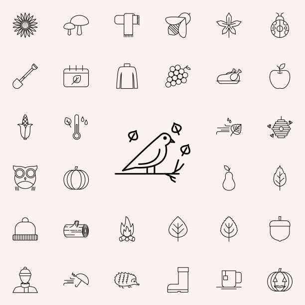 小鸟图标。秋季图标通用设置为网络和移动图片下载