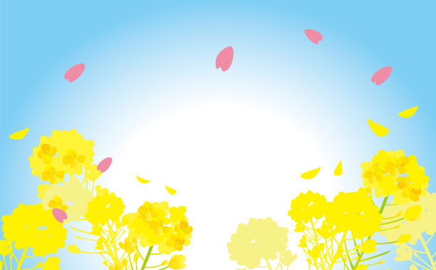 日本油菜花和樱桃树的插画图片下载