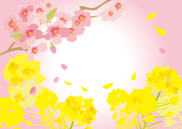 日本油菜花和樱桃树的插画图片下载