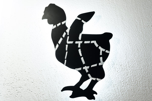 黑白切鸡方案图片下载