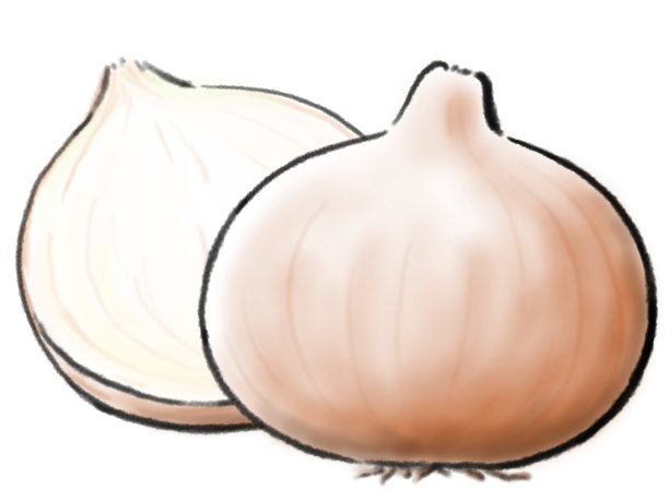 洋葱图片下载