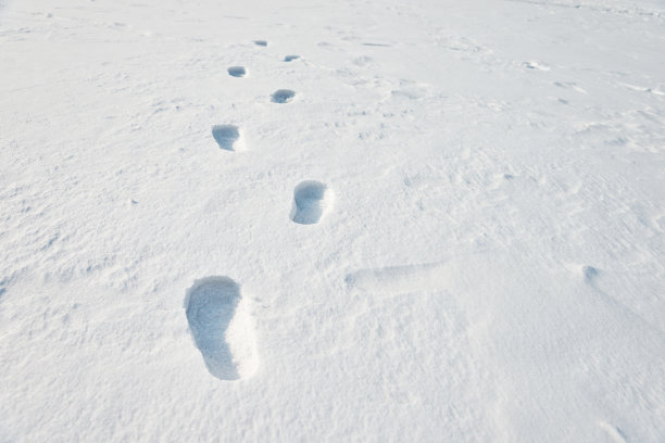 雪地里的脚印图片下载