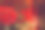 中国风格的红色美丽的背景图片下载