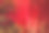 中国风格的红色美丽的背景图片下载