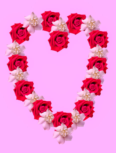 一朵玫瑰和栀子花的心图片下载