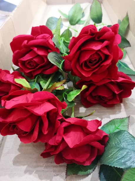 黑色背景上的红玫瑰花情人节图片下载