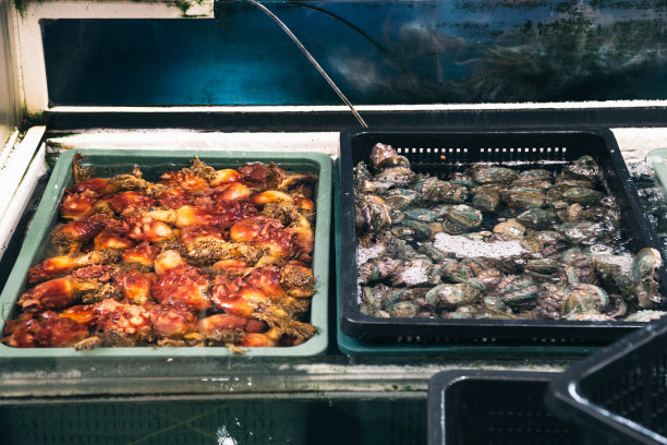 韩国济州岛西浦美尔奥勒市场的新鲜海鲜、海鞘和鲍鱼图片下载