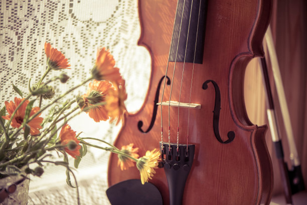 水平图像的小提琴和花靠近窗户的背景。复古的照片。图片下载