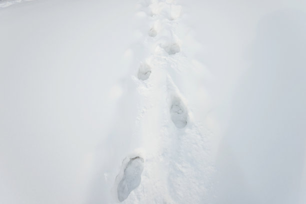 雪地里的脚印图片下载