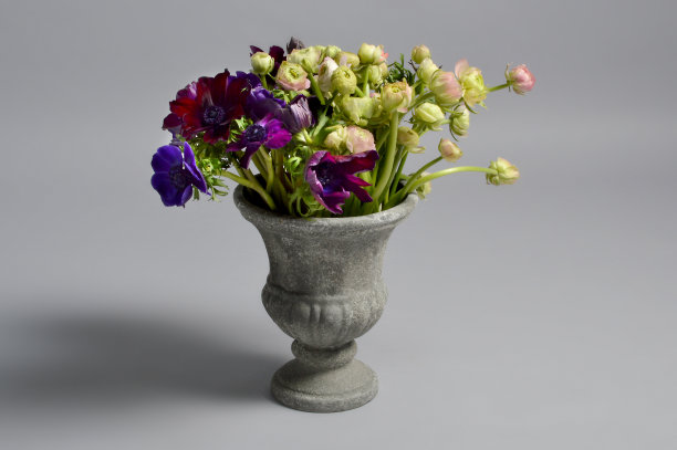 花瓶里的五彩花束图片下载