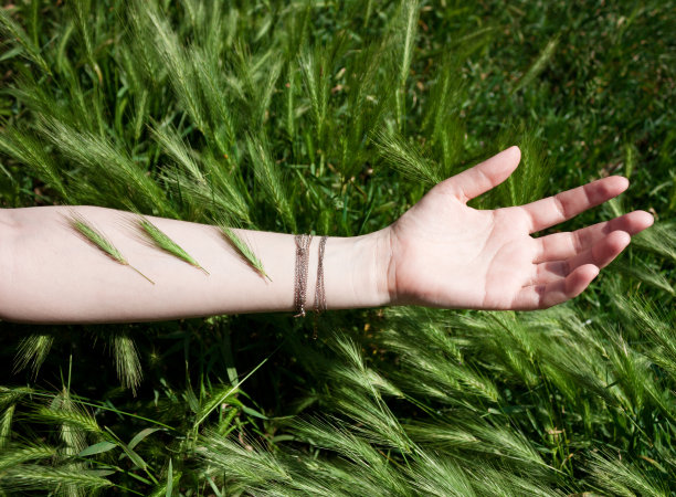 女人手在绿草中图片下载