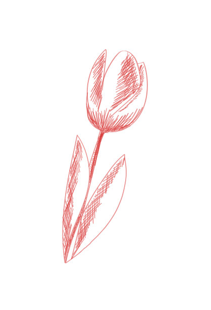 涂鸦矢量花卉插图:郁金香花插图。郁金香春花的图标。图片下载