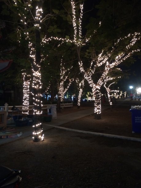 在夜晚发光图片下载