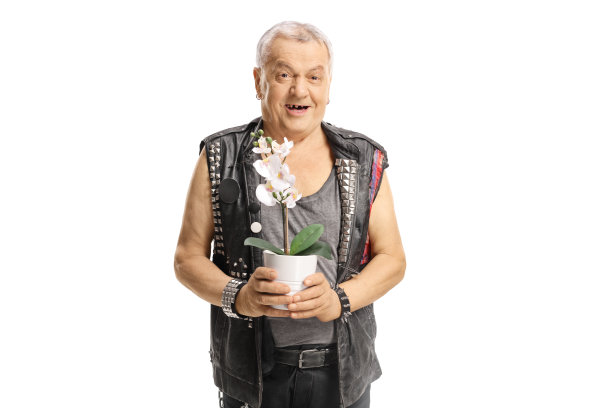 穿着皮背心的老朋克手捧一朵白兰花图片下载