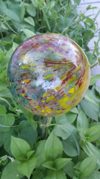 用绿叶装饰的玻璃图片下载