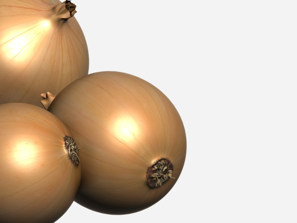 3 d渲染洋葱图片下载