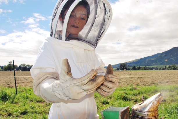 穿着蜜蜂服的孩子看着手里的蜜蜂图片下载