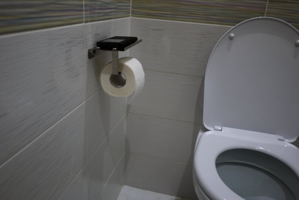 厕所内的卫生纸架(带智能手机架)图片下载