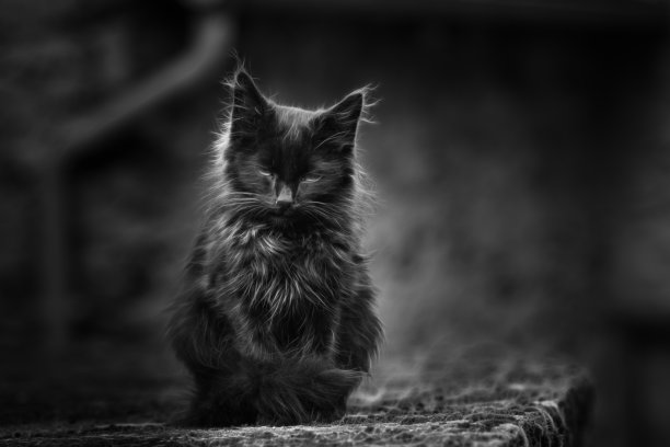 户外聊天图片下载