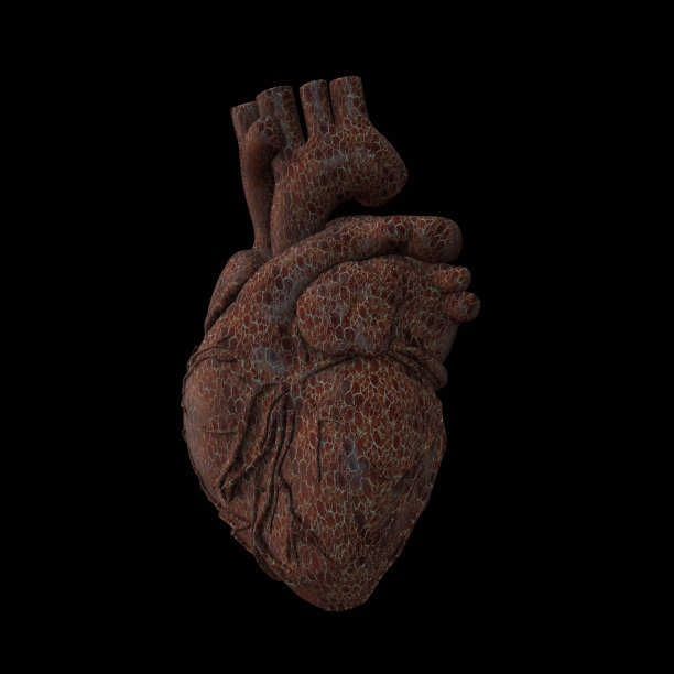 3D线框心渲染孤立的白色背景，3D渲染图片下载