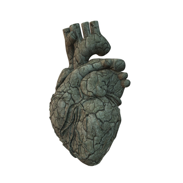 3D线框心渲染孤立的白色背景，3D渲染图片下载