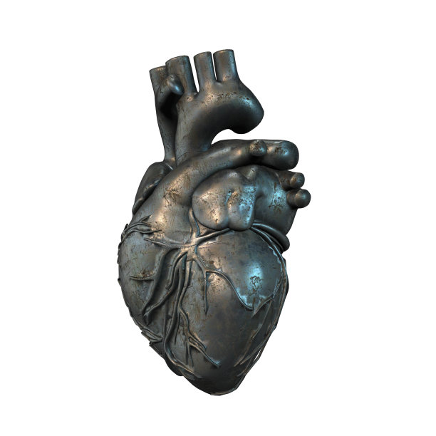 3D线框心渲染孤立的白色背景，3D渲染图片下载