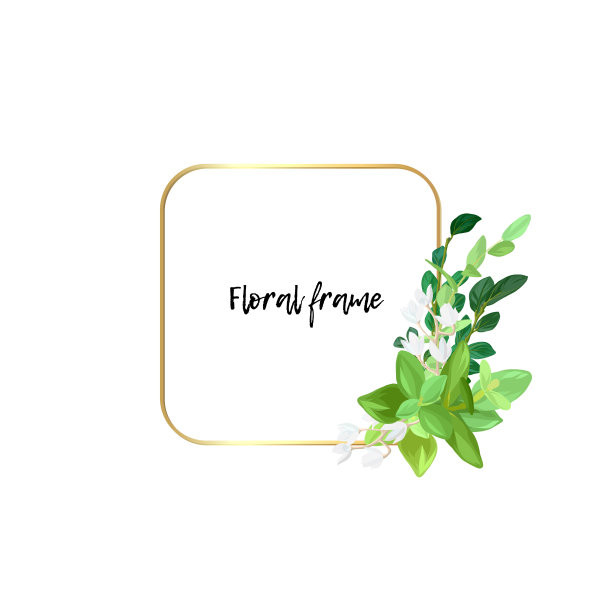 方形金色框架，白色花朵，桉树叶和多肉植物。现代简约的矢量设计。图片下载