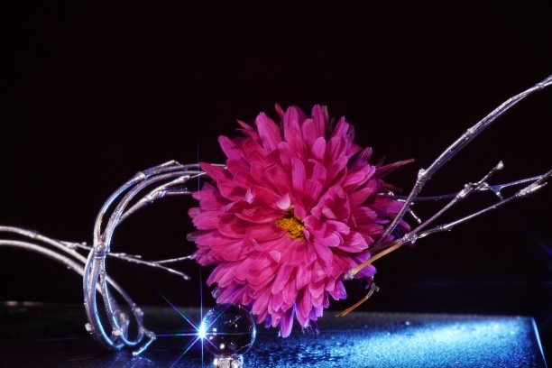 图象Sankaka图片下载