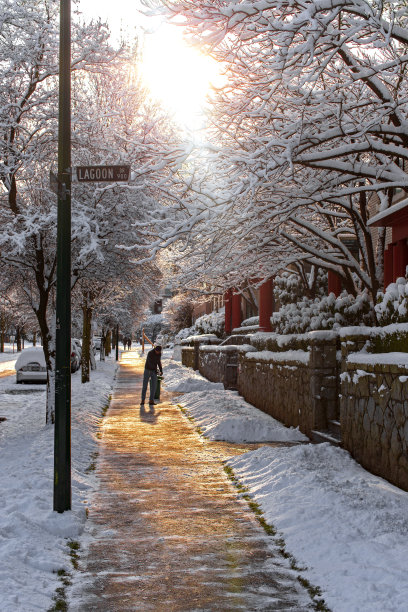 温哥华的冬天图片下载