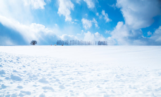 雪地图片素材ID：331977372