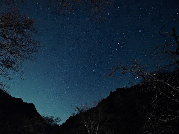 夏令营的照片图片下载