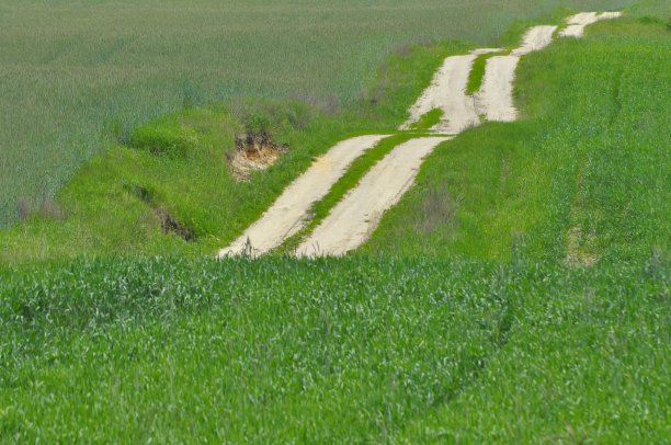 穿过农田的乡间小路沿途是桑迪山。国家风景。图片下载