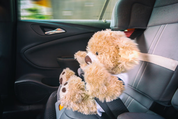 泰迪在全力制动时被推入皮带图片下载