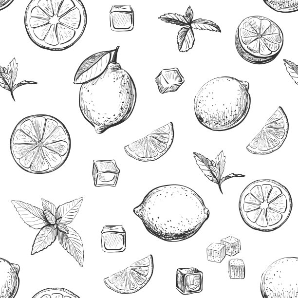 美丽的矢量图案与柠檬和薄荷草图图片下载