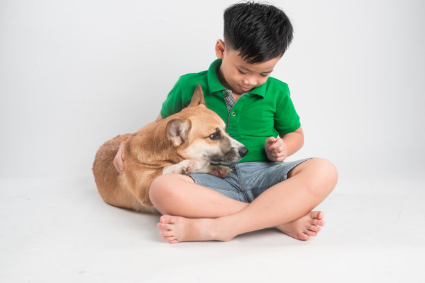 一个快乐的小男孩与威尔士柯基犬在工作室的地板上玩耍的肖像。图片下载