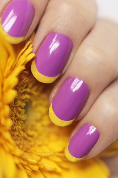 淡紫色法式指甲与黄色非洲菊。图片下载