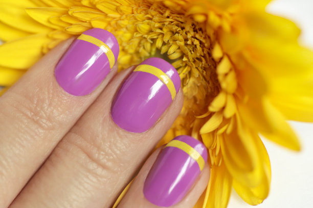 淡紫色法式指甲与黄色非洲菊。图片下载