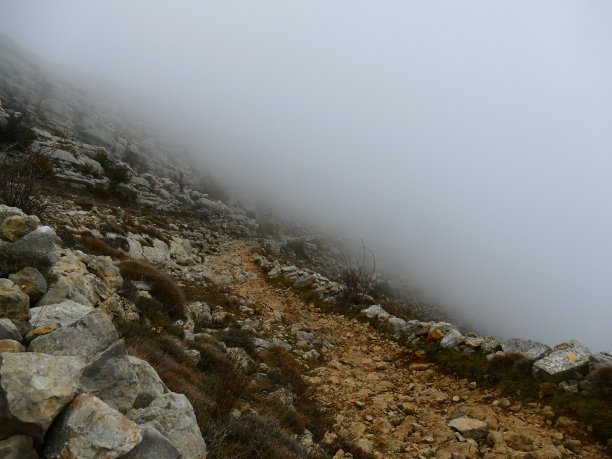 在薄雾中，阿尔卑斯山的海洋图片下载