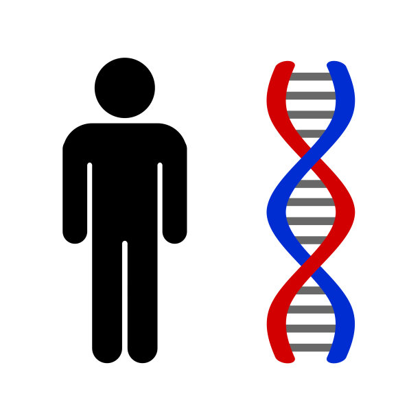 男人和DNA图片下载