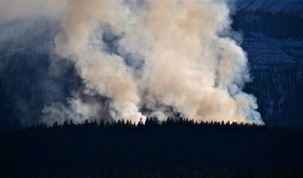 刀耕火种（特写）图片下载